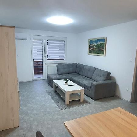 Apartma Sivi Zako Bohinji-tó Kültér fotó